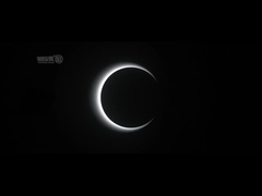 AC100-240V Speed ​​Gate Turnstile Office Building Optical Speed ​​Barrier Gate