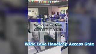 ببینید چرا گردان با خط عریض H324 1100mm 30w SUS304 Swing Barrier Gate کارت RFID برای معلولیت انتخاب کنید